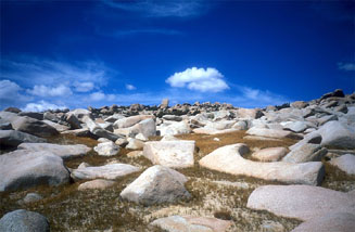 plateau