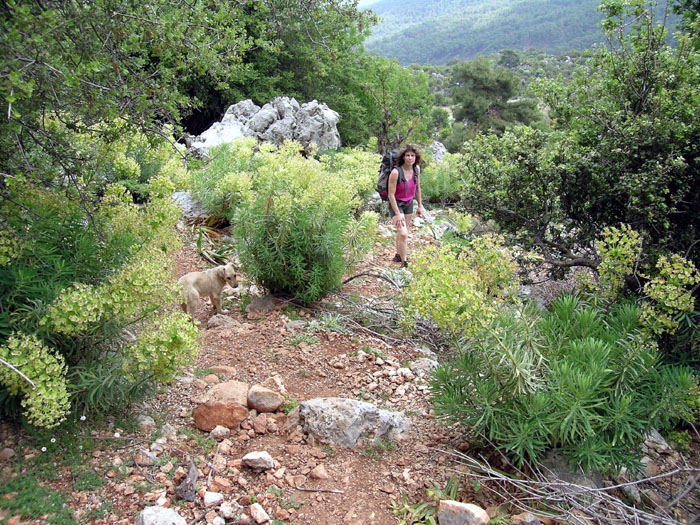 antalya16