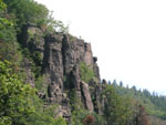 battert029.jpg