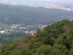 battert030.jpg