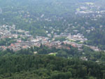 battert031.jpg