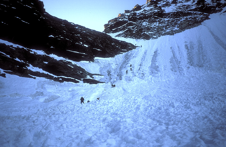 bianco009