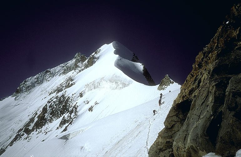 bianco021
