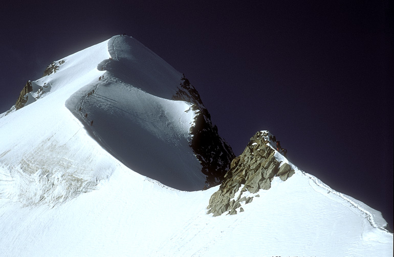 bianco023