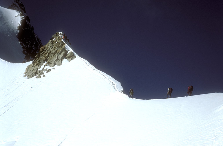 bianco024