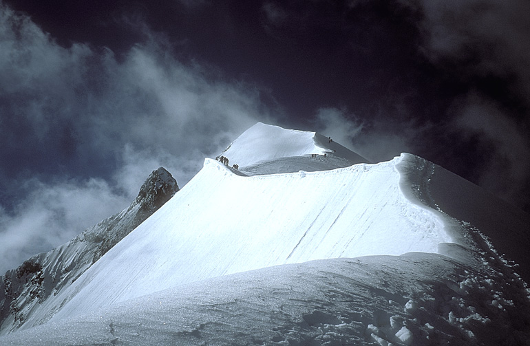 bianco028