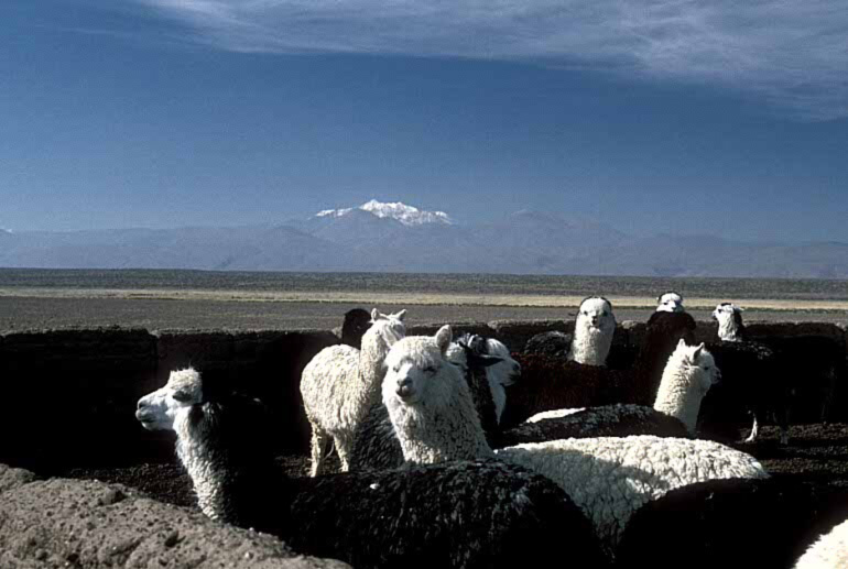 bolivia009