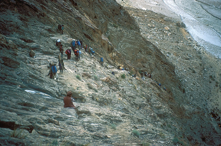 bp29