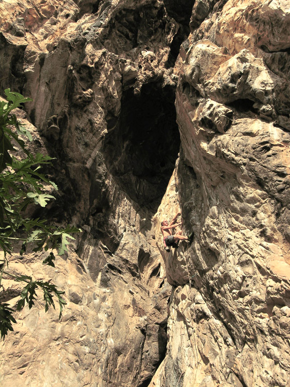 crazyhorse0010