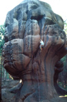 elbsandstein003.jpg