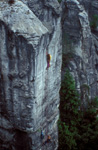 elbsandstein006.jpg