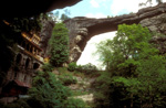 elbsandstein020.jpg