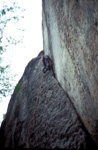 elbsandstein022.jpg