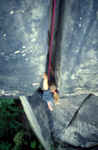 elbsandstein025.jpg