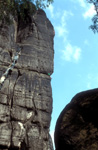 elbsandstein031.jpg