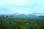 elbsandstein034.jpg