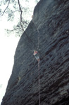 elbsandstein041.jpg