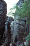 elbsandstein042.jpg