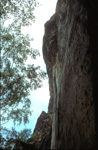 elbsandstein047.jpg