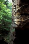 elbsandstein049.jpg