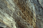 elbsandstein050.jpg