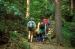 elbsandstein056.jpg