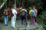 elbsandstein060.jpg