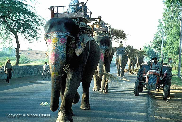 india001