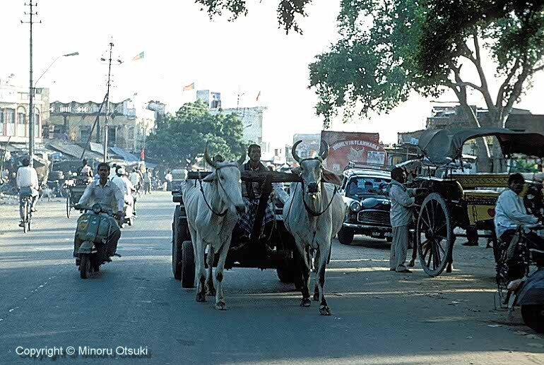 india002