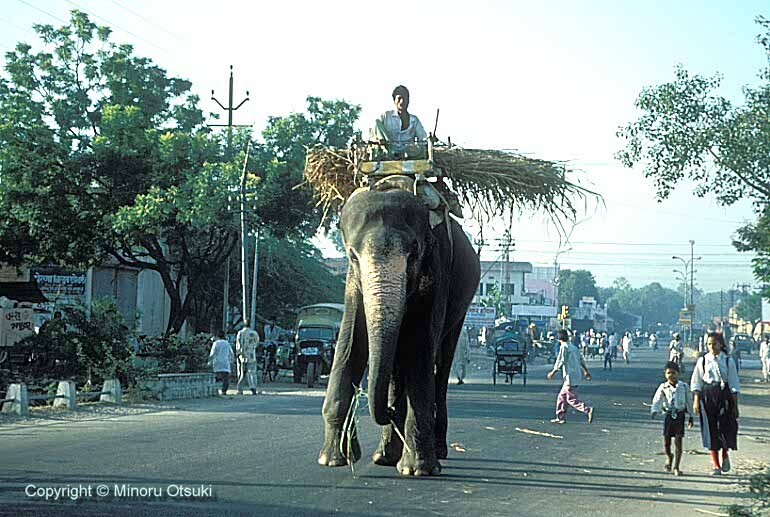 india003