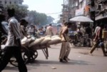 india007.jpg