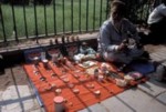 ausprobieren?/india009.jpg