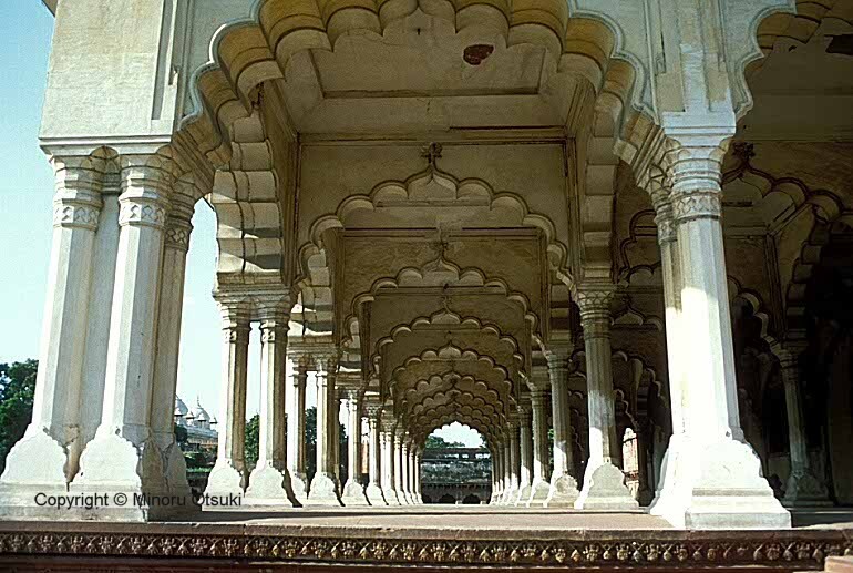 india019