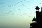 india/india026.jpg