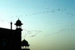 india/india027.jpg