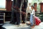 india/india044.jpg