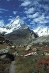 india/india055.jpg