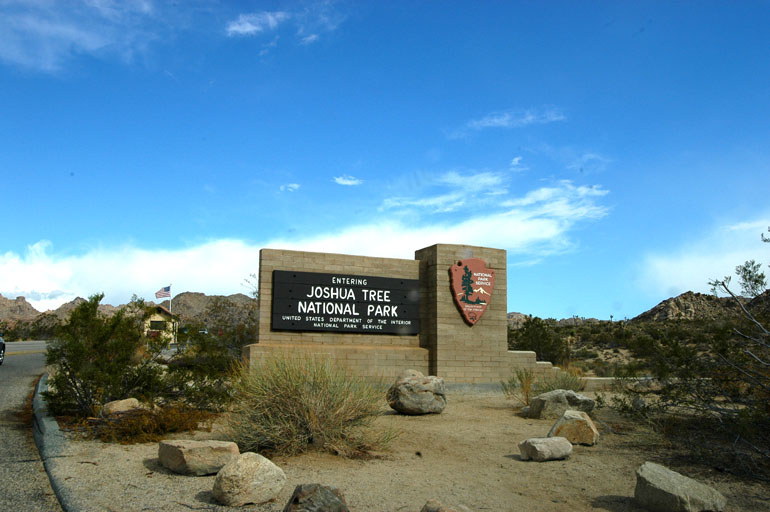 pic0012