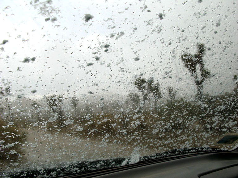 image0155