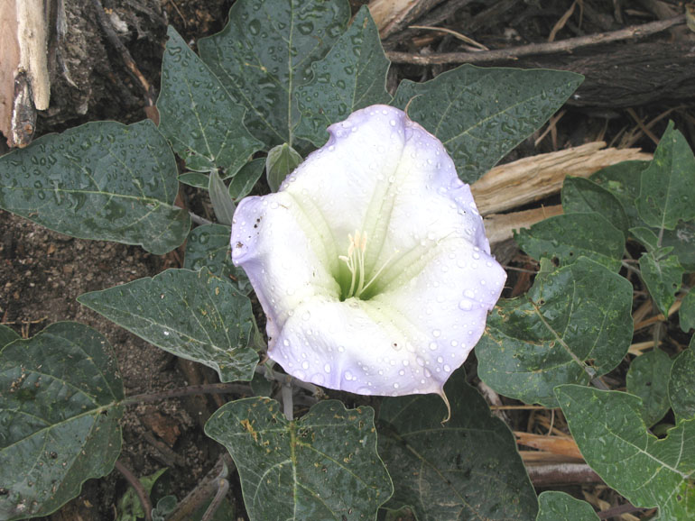 image0156