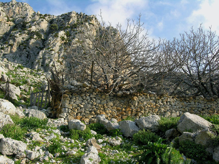 kalymnos022