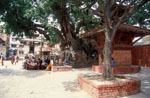 img011.jpg