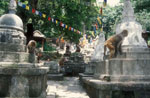 img021.jpg