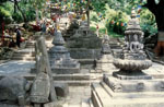 img023.jpg