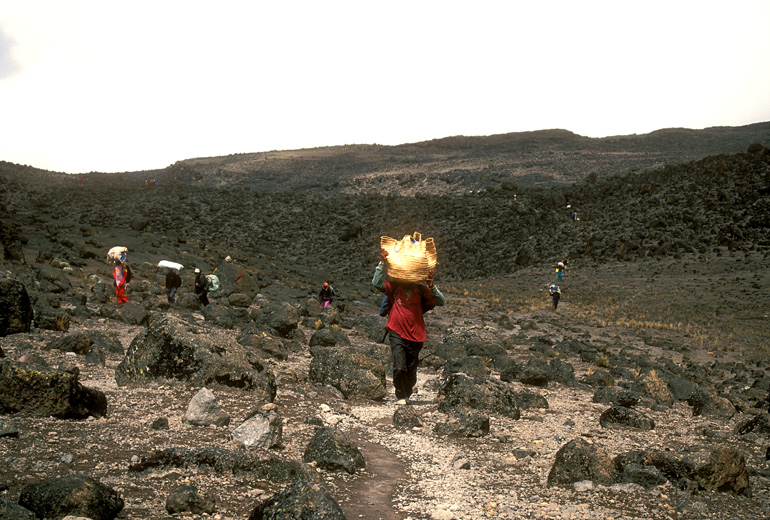 kilimanjaro027