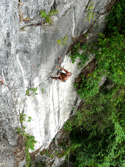 apr2008b.jpg