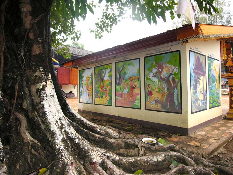 laos030