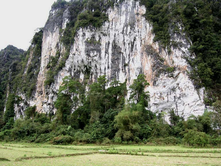 laos045