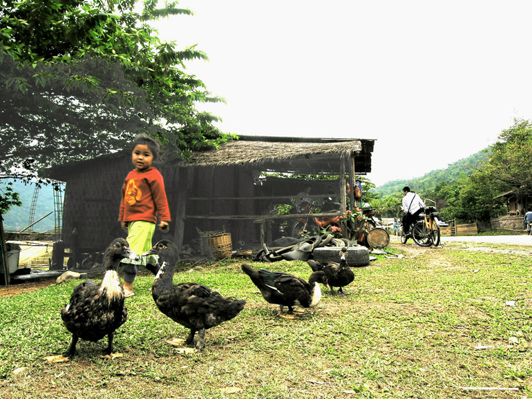 laos065