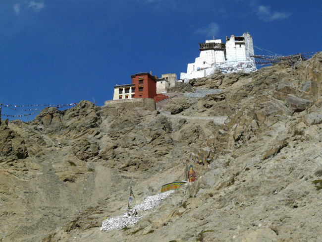 pic0011